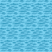 fishes