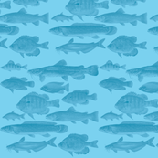 fishes