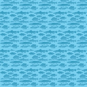 fishes