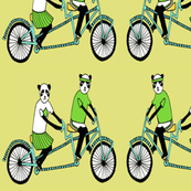 Pandas Love Bicycles