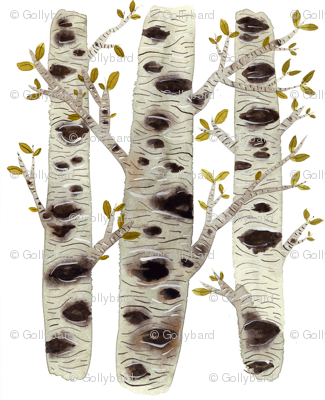 Birch Trees - Woodland Collection