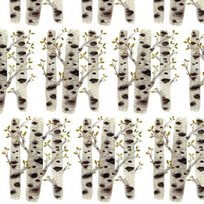 Birch Trees - Woodland Collection