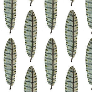 Feathers - Woodland Collection