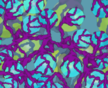 Spoonflower_hydro_thumb