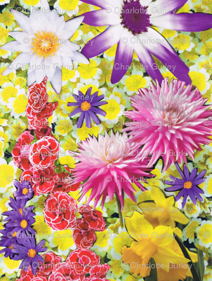 Blooming Summer Collage