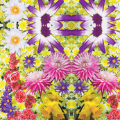 Blooming Summer Collage