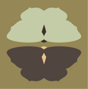 moth mirror