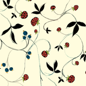 Blueberries and Raspberries