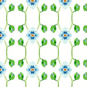 blue poppy