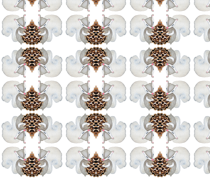 pinecone squirrel