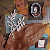 portrait_collage
