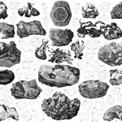 Vintage minerals