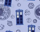 Madman in a Blue Box