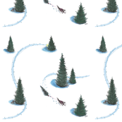 Siberian Husky pulling home the Christmas Tree 