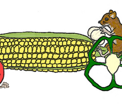 Drive_your_veggies_grey_no_compression_comment_20207_preview