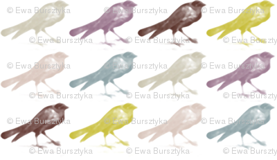kruki