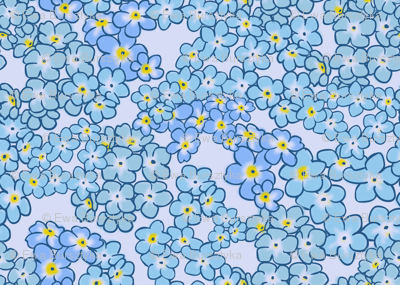 forget-me-nots