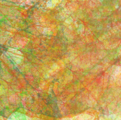 Fall