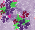 Purple Flowers