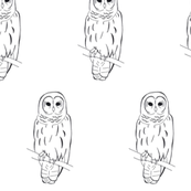 Perching Owl