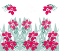 Pointsettas