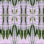 Elegant Grasses