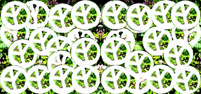 Impatiens for Peace