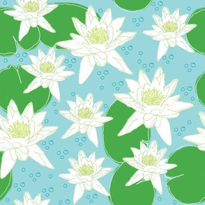 Water Lily Morning