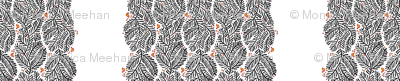arborvitae - border white