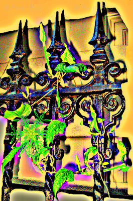 Sunny Garden Fence
