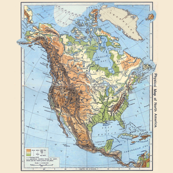 HUGE 6 foot Vintage US Physical Map