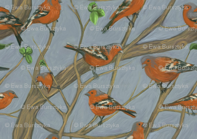 The Chaffinch