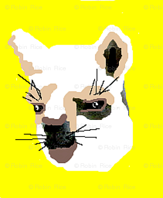 Little Mystery Animal
