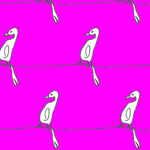 little creative * birdsonwire