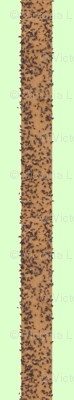 fly_stripe_green_background