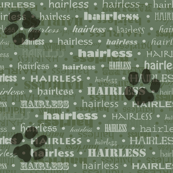 hairless dogs green