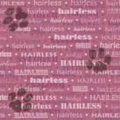 hairless dogs pink