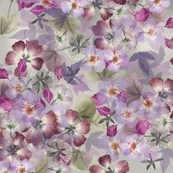 pressed flowers