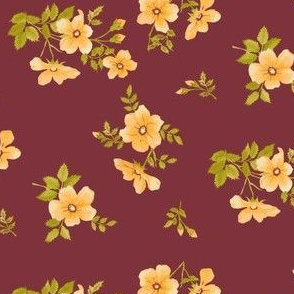 Austrian_Rose
