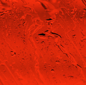 Orange Rain
