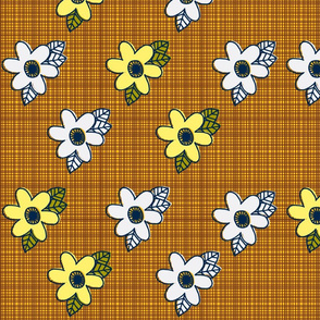 Brady Daisies