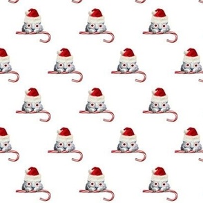 Voyeur Cat Santa 