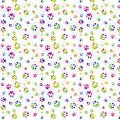 Paw Print rainbow 
