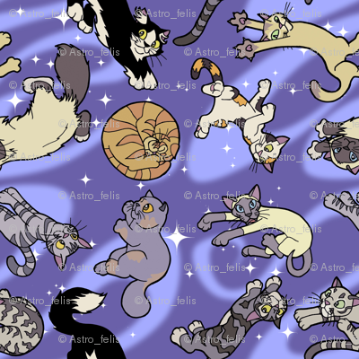 Floaty Cats in Space
