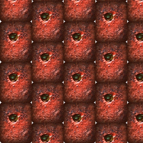 leafcutterbeehouse
