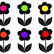 Black Daisies
