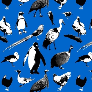 Exotic Bird Fabric
