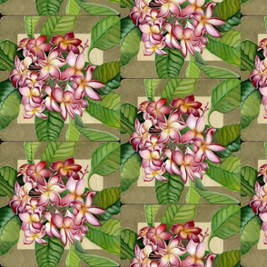 Darlene_150dpi