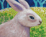 Rabbit_serious_cropped_thumb