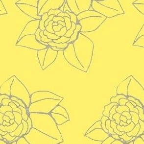 Perfect Yellow  Peonies 